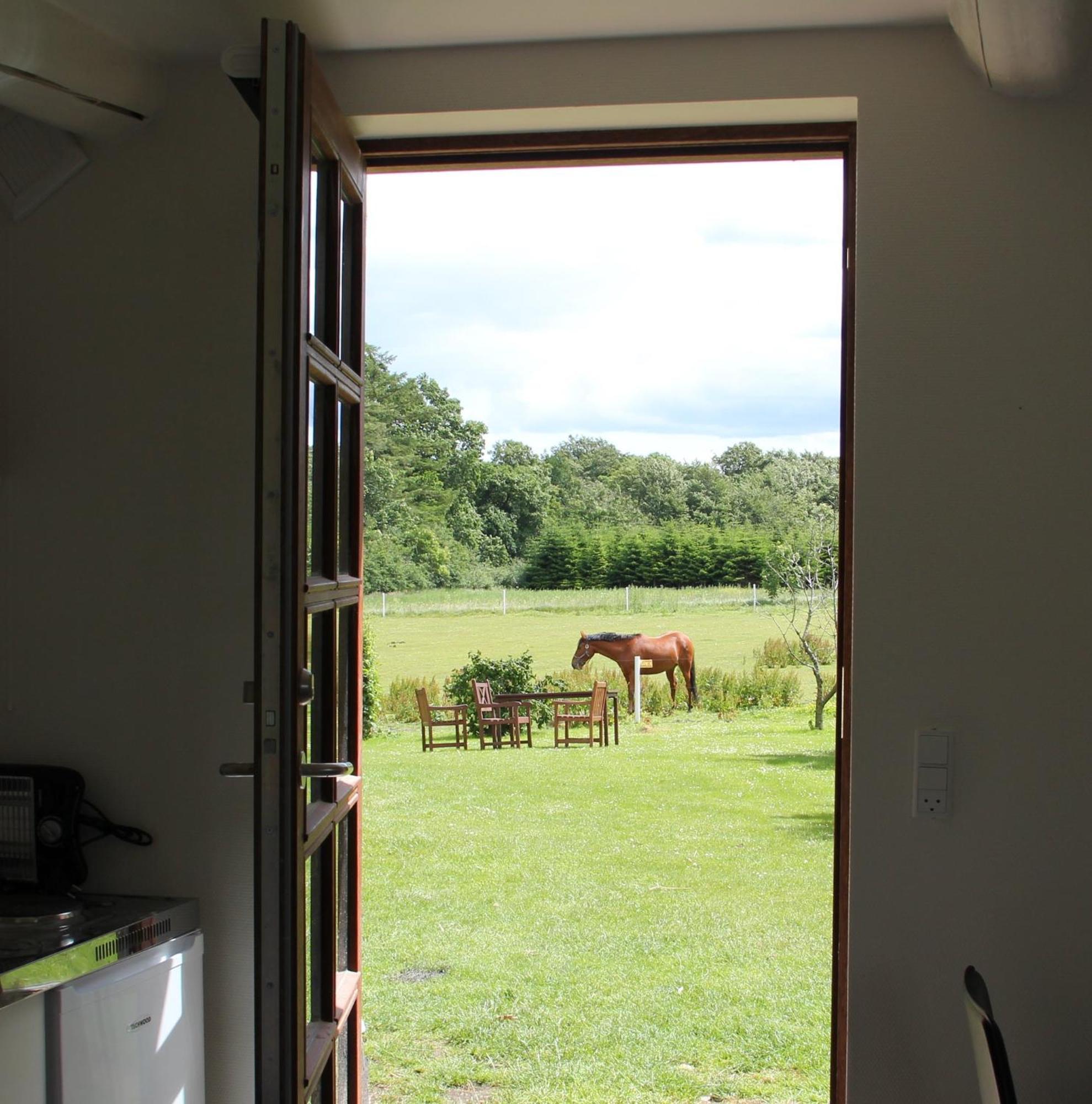 Munkebjerg Bed & Breakfast ボルコップ 部屋 写真