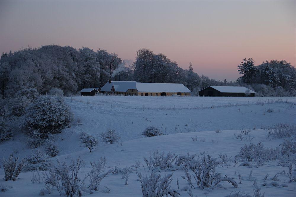 Munkebjerg Bed & Breakfast ボルコップ エクステリア 写真