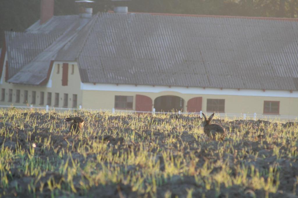 Munkebjerg Bed & Breakfast ボルコップ エクステリア 写真
