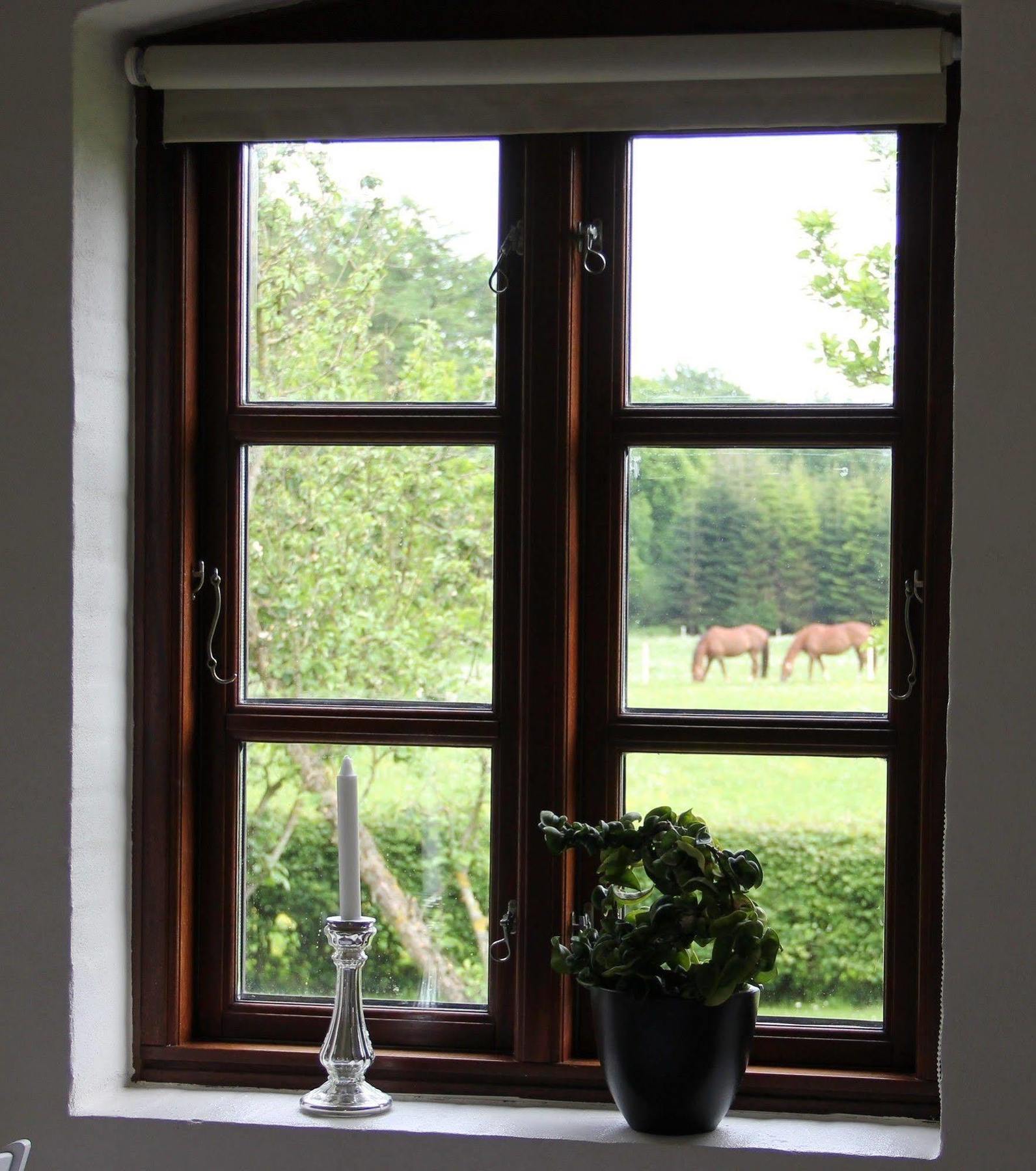 Munkebjerg Bed & Breakfast ボルコップ エクステリア 写真