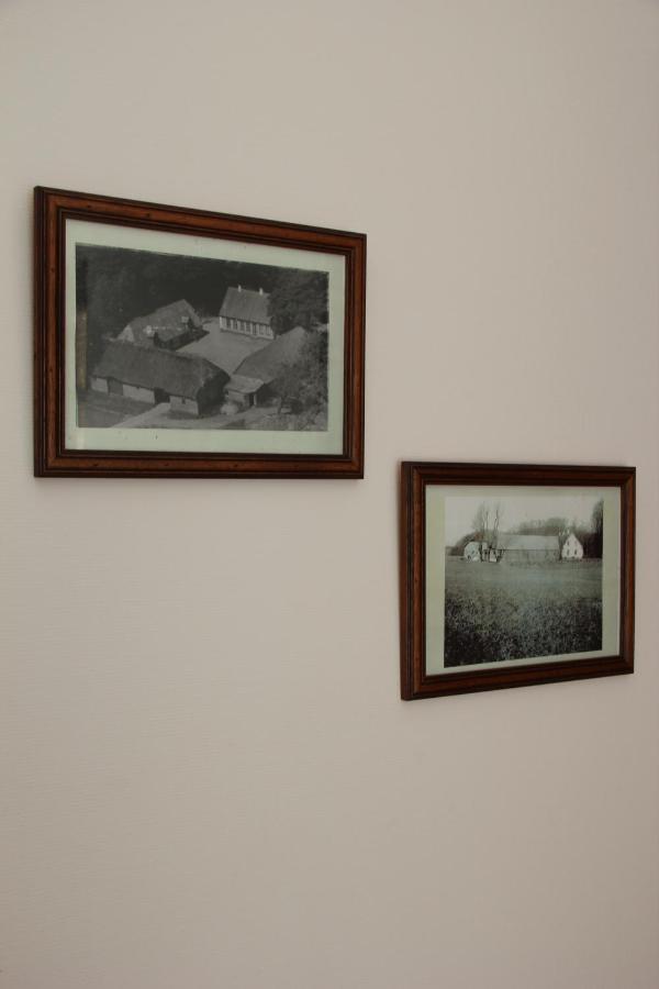 Munkebjerg Bed & Breakfast ボルコップ エクステリア 写真